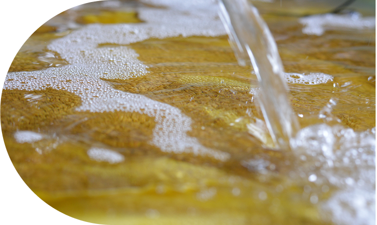 豊富な雪解け水と昼夜の<br>寒暖差が育む、甘さ