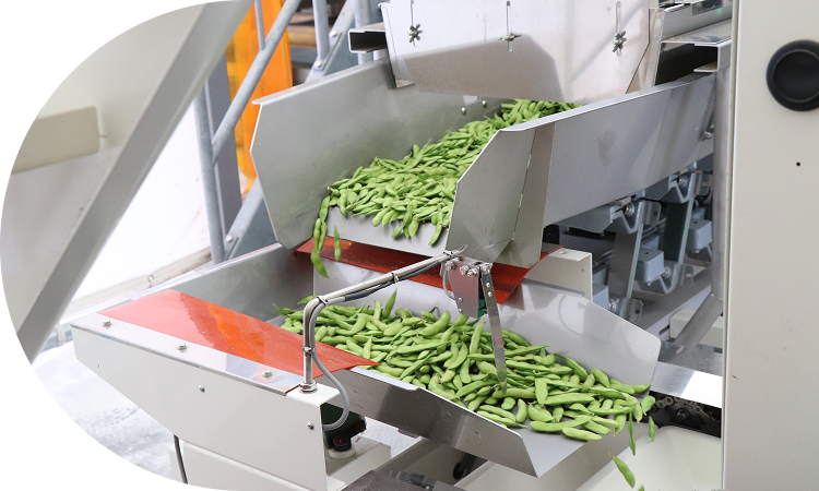 えだまめ選果施設で労力軽減持続可能なものづくり