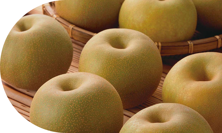 オリジナル品種も！<br>季節の梨を楽しめる！