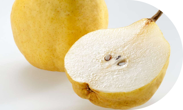 新潟県のシェア率 80%栽培に手間がかかる「西洋梨の貴婦人」<br>は入手困難