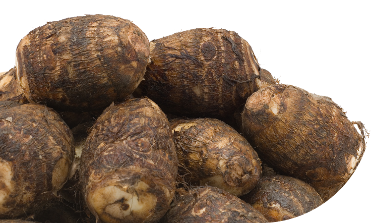 新潟郷土料理「のっぺ」に<br>欠かせない伝統の味