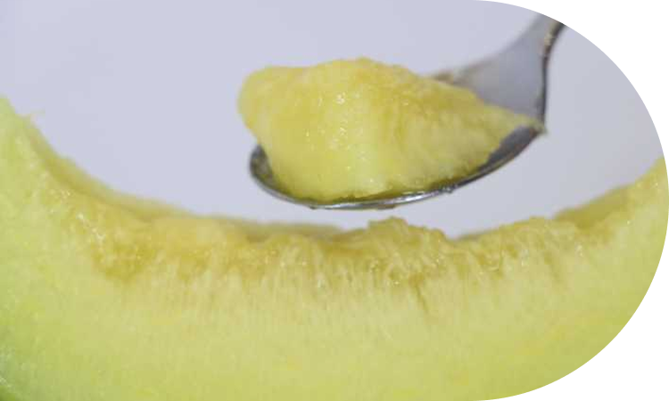 愛されて60年！<br>根強いファンがいる新潟産のメロン