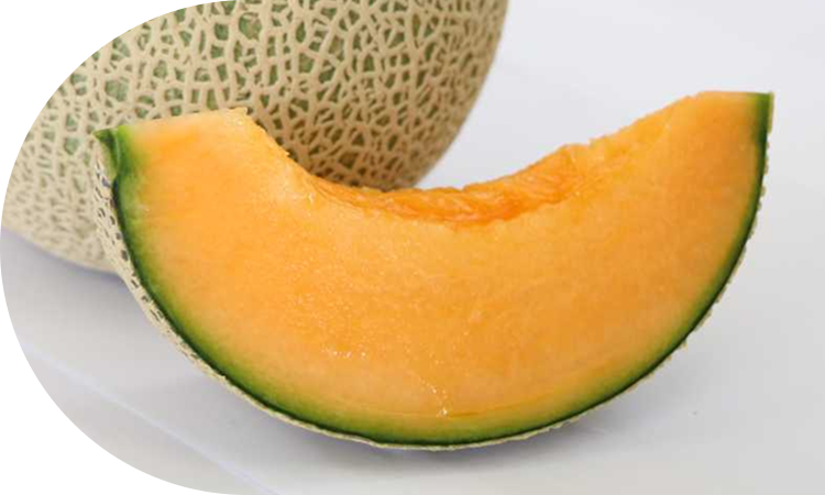 「育てるのが難しい」<br>メロンを届ける熟練の技術