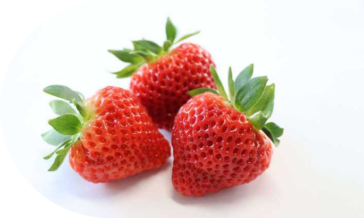 やわら果肉で大粒ジューシー!<br>やさしい食感の「越後姫」