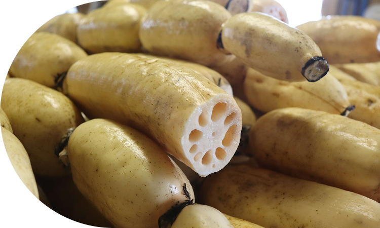 五泉三美人の1つ!<br>堂々とした地域ブランド野菜