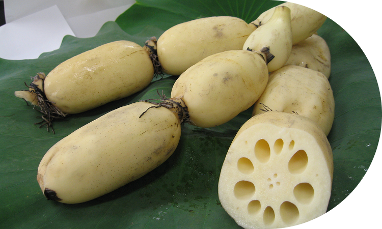 白い肌がうつくしい、<br>サクサク食感がおいしい