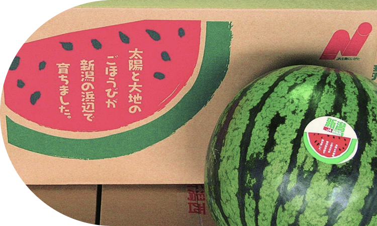 甘く仕上げる技術と、<br>センサー選果で間違いのない<br>スイカをお届け