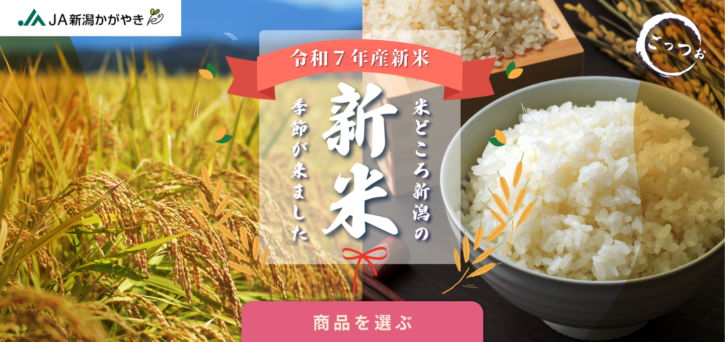 新潟新米！　令和7年米販売開始