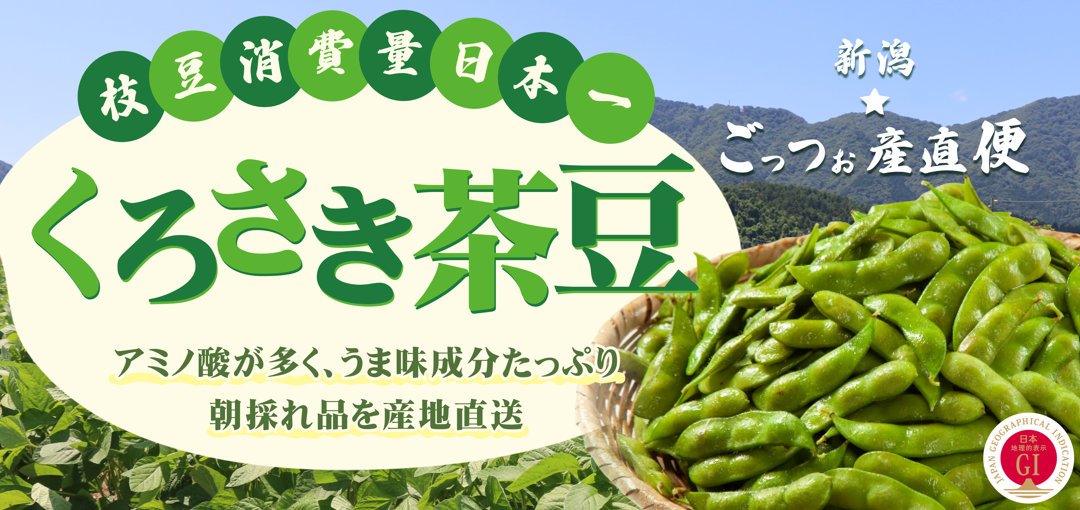 くろさき茶豆の通販