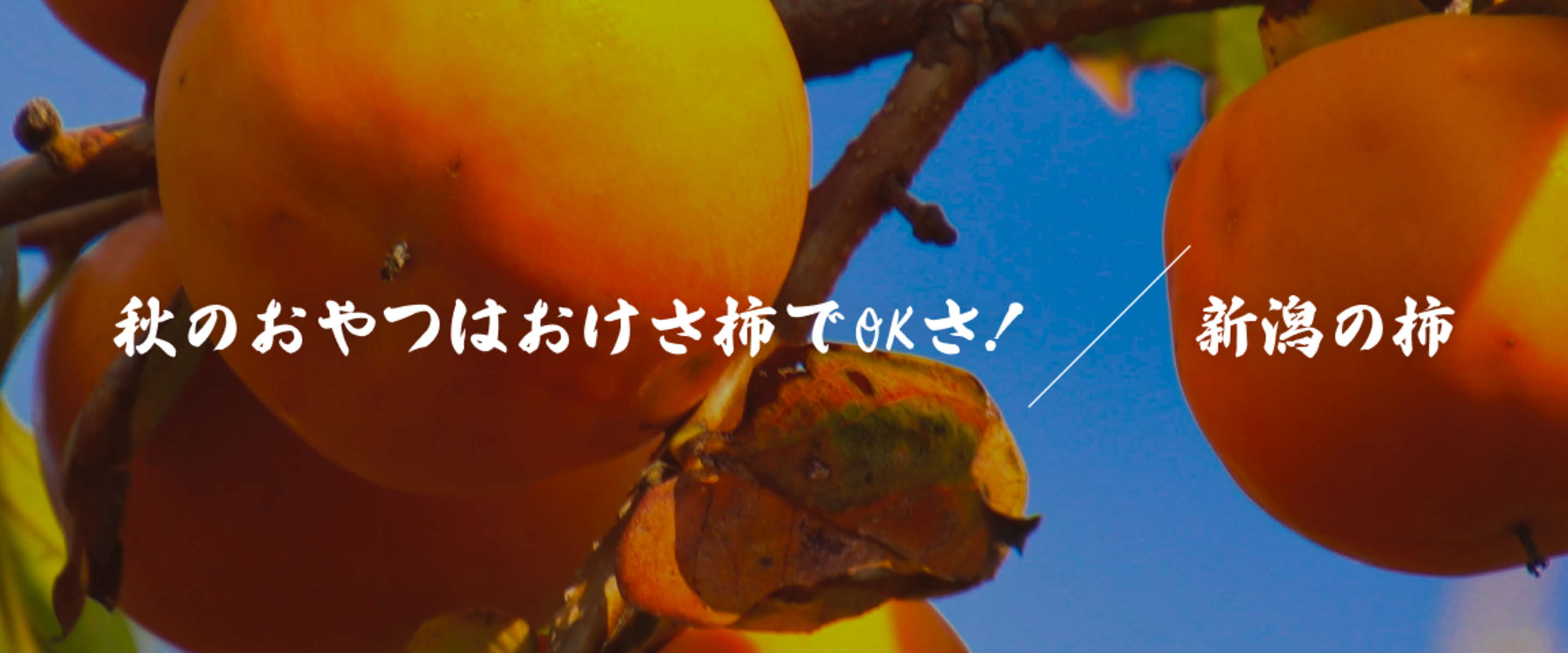 新潟のおけさ柿