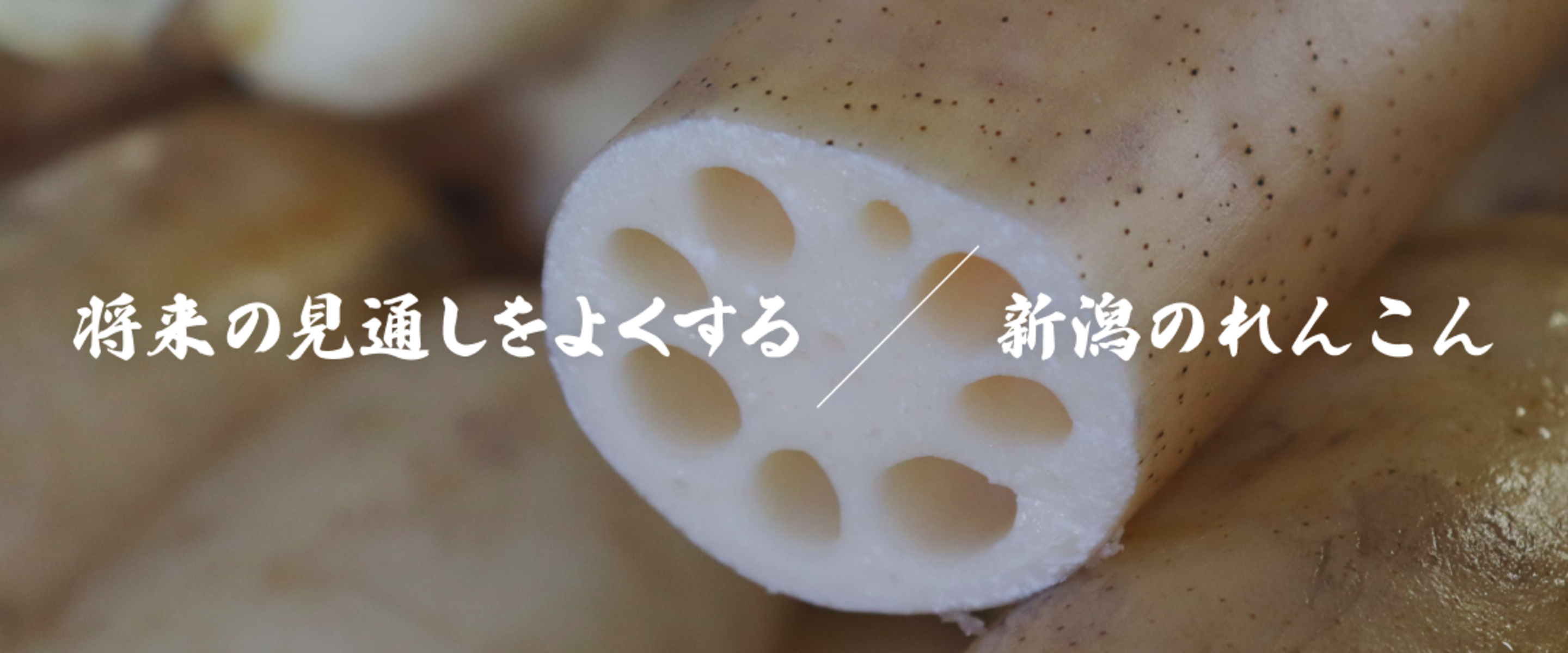 新潟のれんこん
