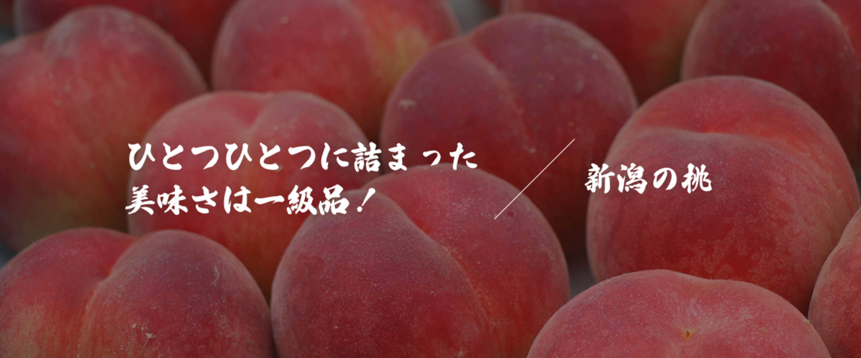 新潟の桃