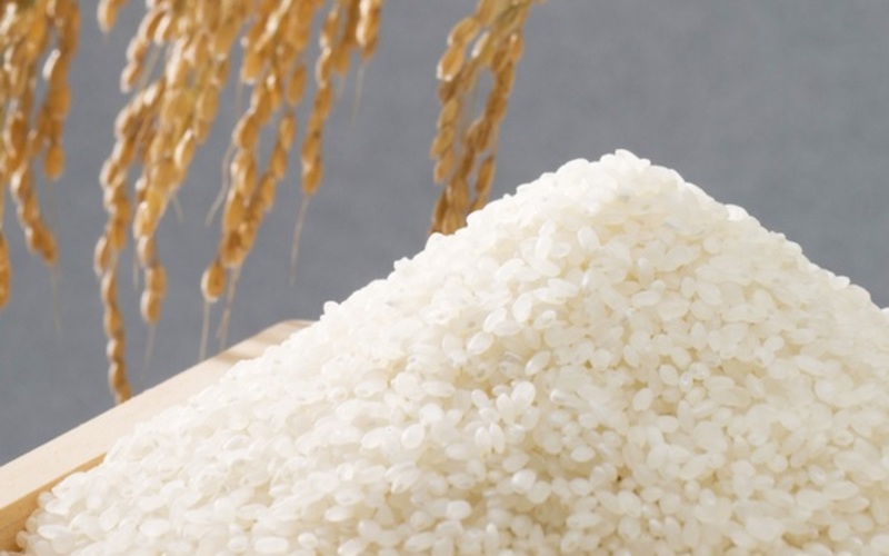 東蒲幻米 プレミアム 玄米30kg