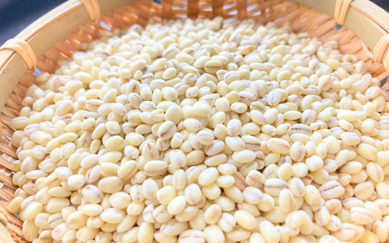 はねうまもち・ぷっちんもち麦【ささかみ産】 | 新潟ごっつぉ産直便