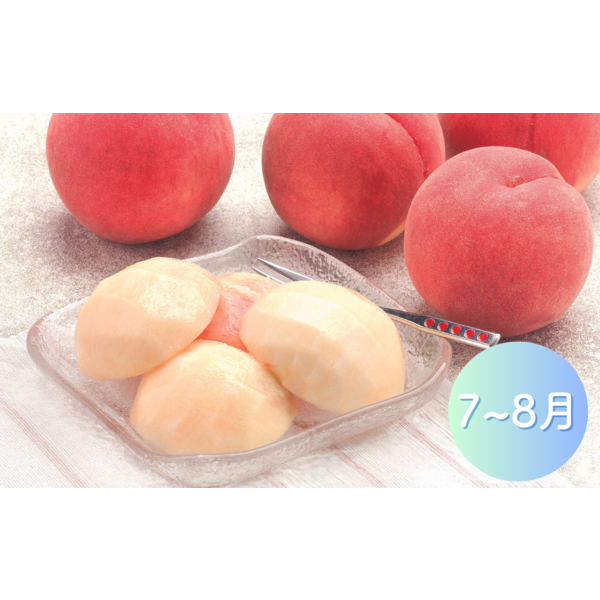 白根産】旬の桃（7月下旬～8月上旬発送） | 新潟ごっつぉ産直便 | JA