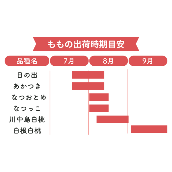 白根産】旬の桃（8月中旬～9月上旬発送） | 新潟ごっつぉ産直便 | JA
