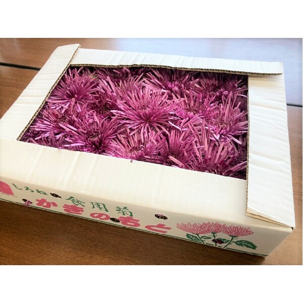 食用菊・かきのもと【白根産】 | 新潟ごっつぉ産直便 | JA新潟かがやき