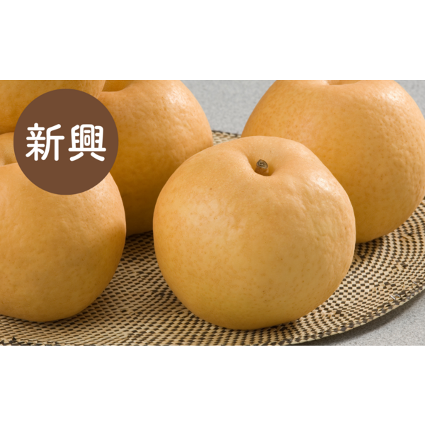 Jです！新興梨 25㎏ 新興梨｜郵便局のネットショップ