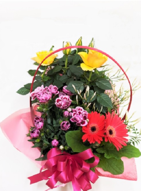 母の日ギフト】季節の花々 ※数量限定※ | 新潟ごっつぉ産直便 | JA新潟