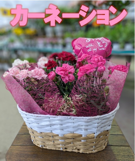 母の日ギフト】季節の花々 ※数量限定※ | 新潟ごっつぉ産直便 | JA新潟