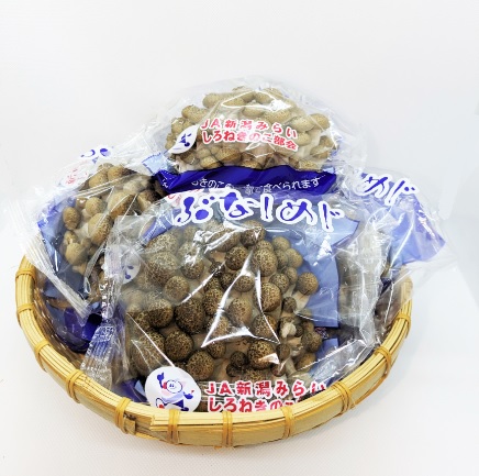 つきのこ様への専用確認 きのこセット | 新潟ごっつぉ産直便 | JA新潟かがやき公式通販サイト