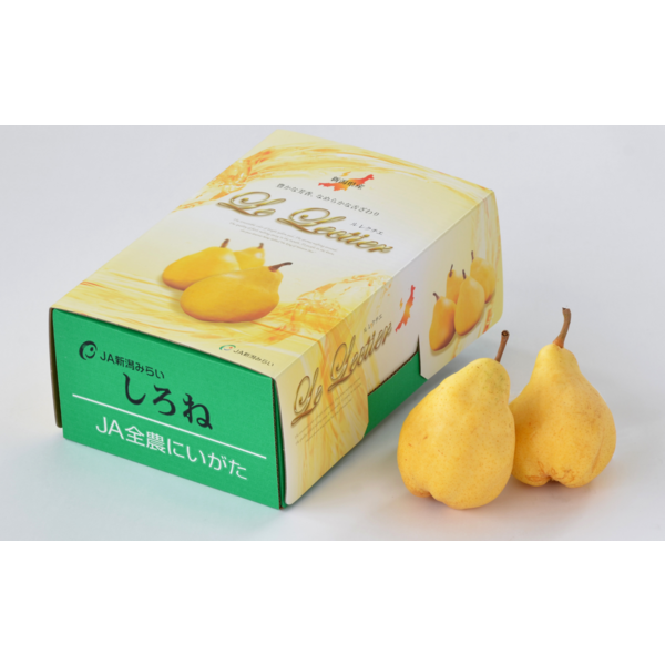 超希少 カンボジア産 黄花梨 希少カンボジア産黄花梨(オマケ付き)