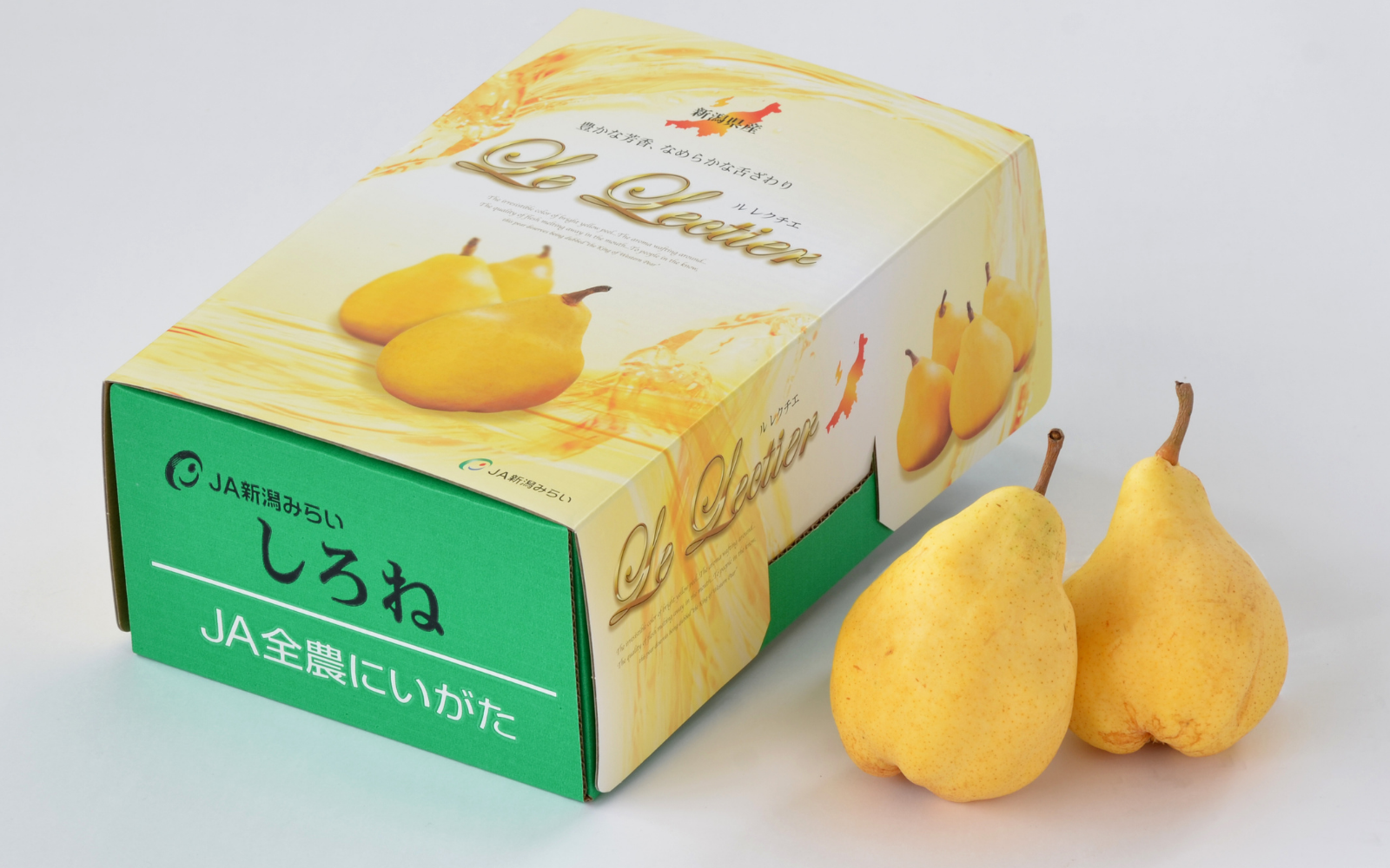 西洋梨ル・レクチエ 化粧箱【白根産】 | 新潟ごっつぉ産直便 | JA新潟