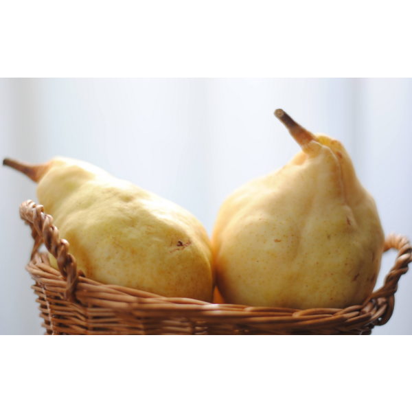 化粧箱 プレミアム ル・レクチエ【白根産】 | 新潟ごっつぉ産直便 | JA