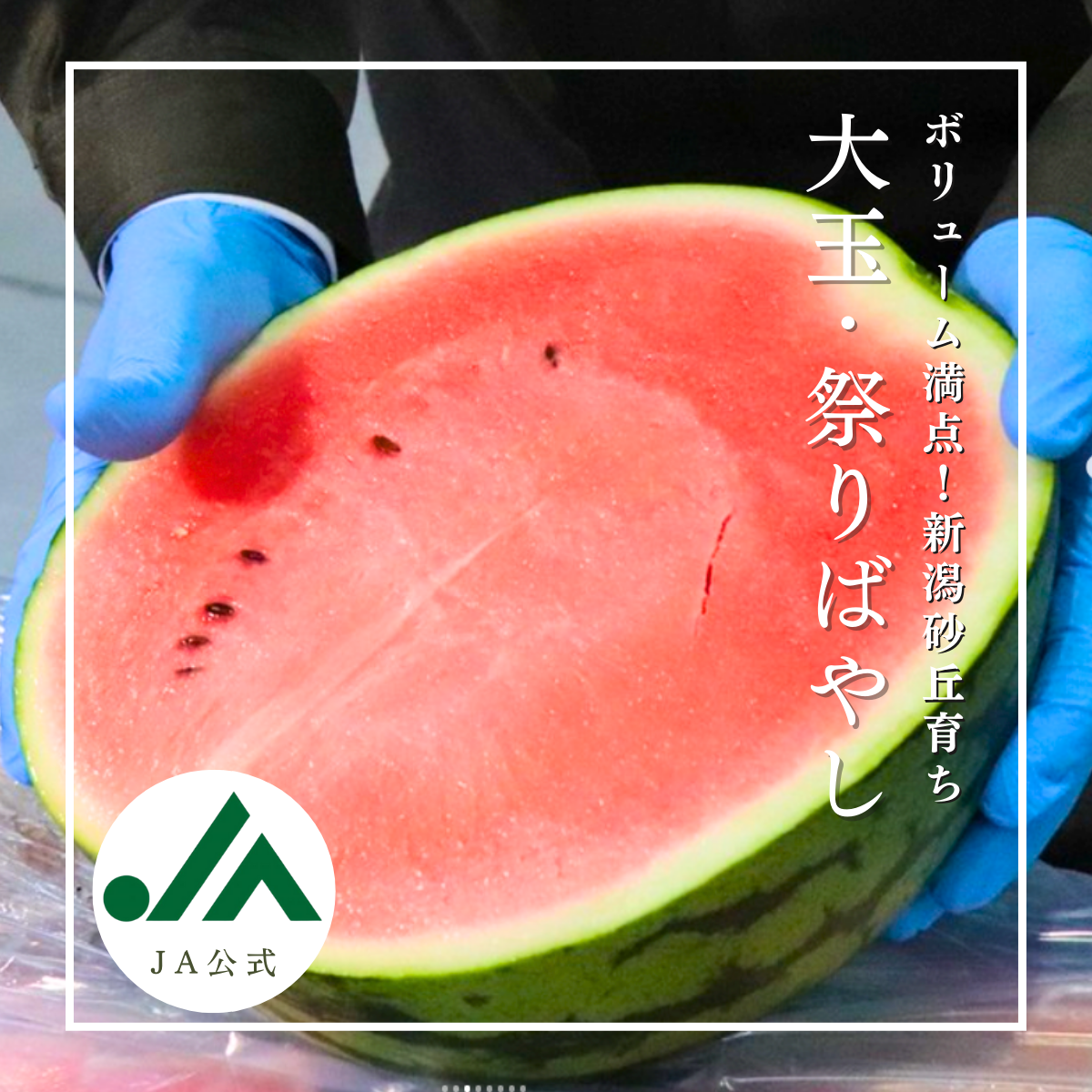 すいかページ 祭ばやし.png