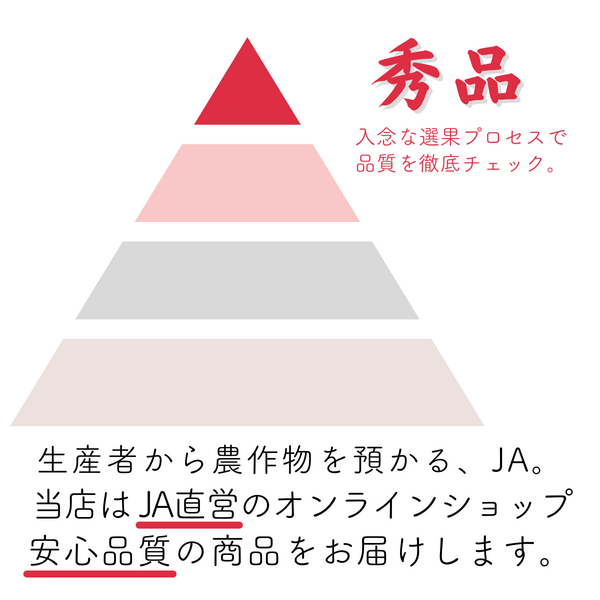 新品レア含む６枚set⭐️旧朝食　婦人画報別注いちご　Star スイカ　近沢レース Niigataルビームーン（小玉すいか）【新潟市西区産】 | 新潟
