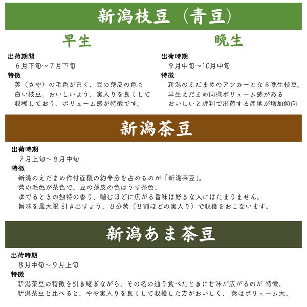square_枝豆の特徴__2_.png