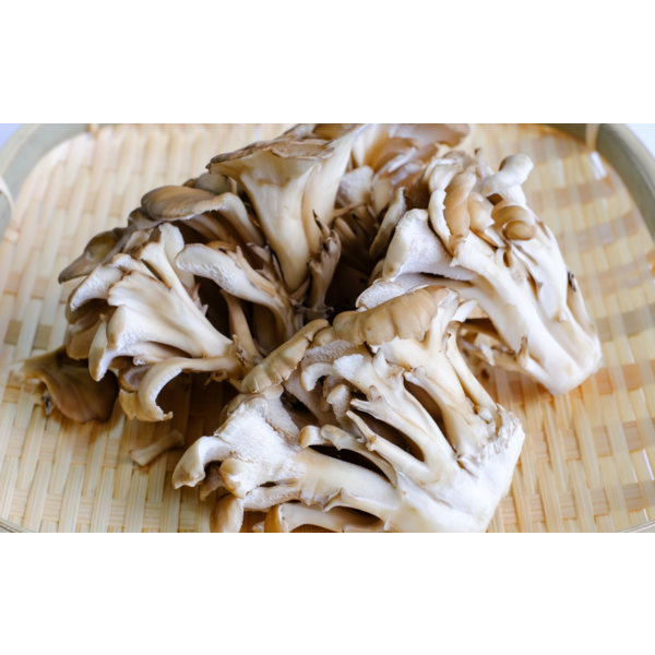 さといも】里のいもこ | 新潟ごっつぉ産直便 | JA新潟かがやき公式通販