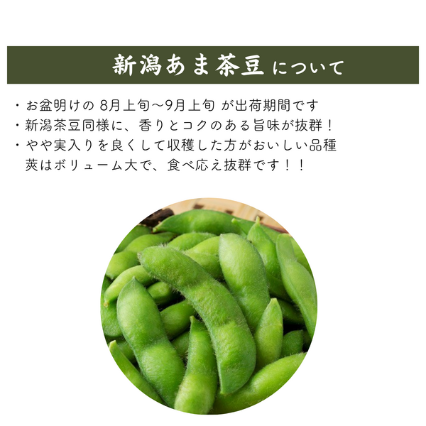 square_新潟あま茶豆.png