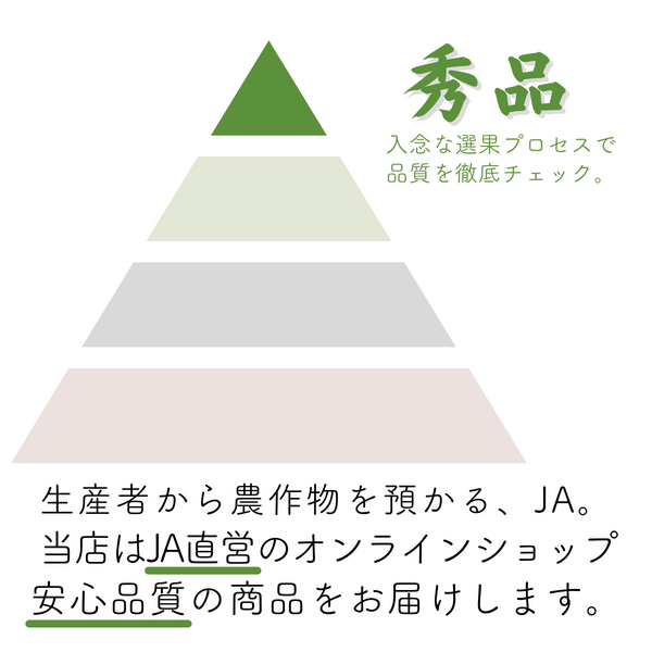 早生茶豆（新潟系14号）【西蒲区産】 | 新潟ごっつぉ産直便 | JA新潟
