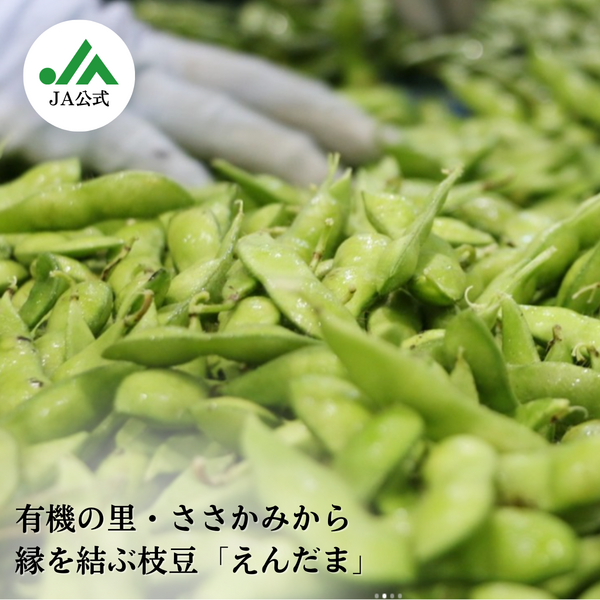 縁玉〜えんだま〜【阿賀野市産】枝豆 | 新潟ごっつぉ産直便 | JA新潟