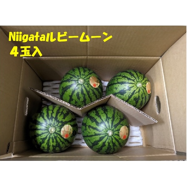 専用ページ　ミニ　すいか Niigataルビームーン（小玉すいか）【新潟市西区産】 | 新潟ごっつぉ