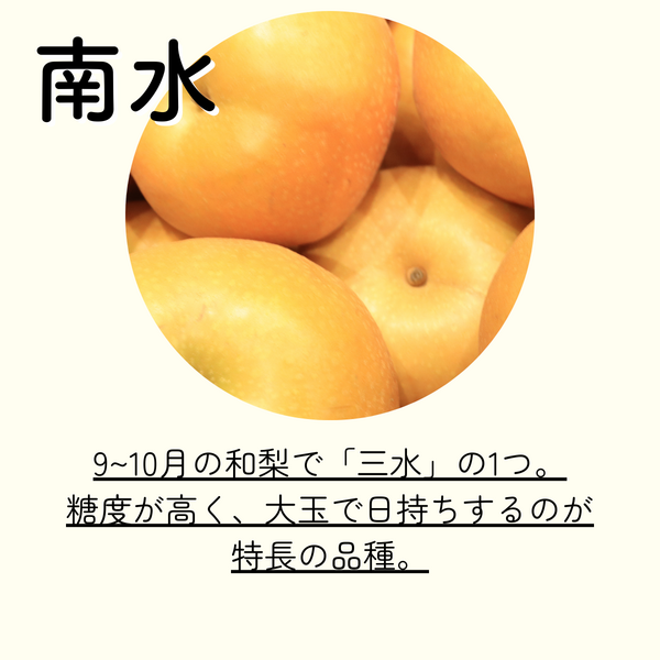 南水 梨（和梨）☆数量限定☆彡 | 新潟ごっつぉ産直便 | JA新潟