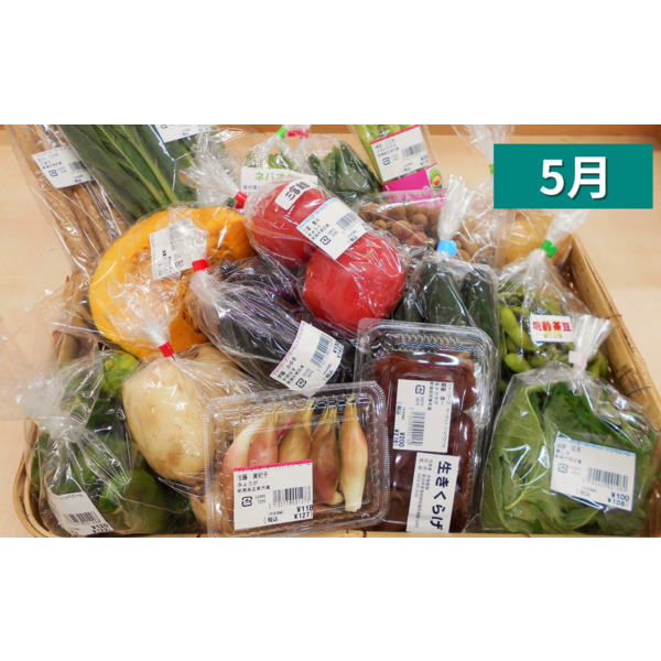 いっぺこ～と」新鮮野菜詰合せセット（6～8月） | 新潟ごっつぉ産直便