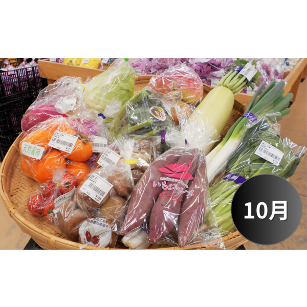 square_野菜セット_10月_.png