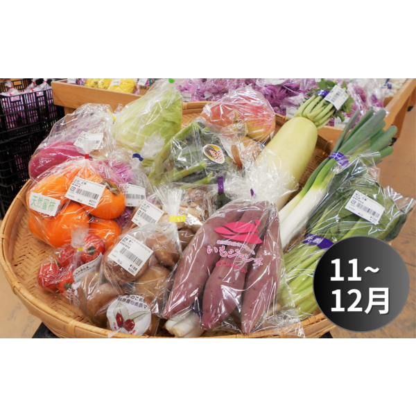 いちご様 野菜セット 干し芋3 square_野菜セット_11_12月_.png