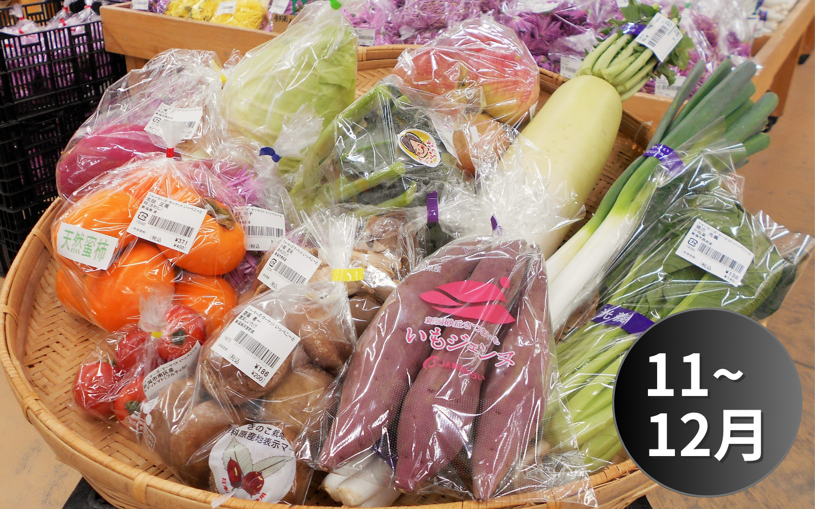 いっぺこ～と」新鮮野菜詰合せセット（11～12月） | 新潟ごっつぉ産直