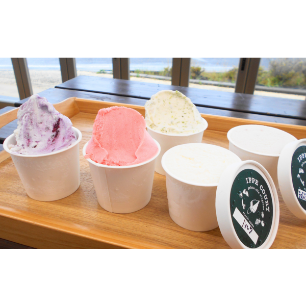 旬のフルーツや野菜のジェラートセット(7月) | 新潟ごっつぉ産直便