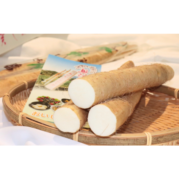 自然薯【阿賀町産】 | 新潟ごっつぉ産直便 | JA新潟かがやき公式通販サイト