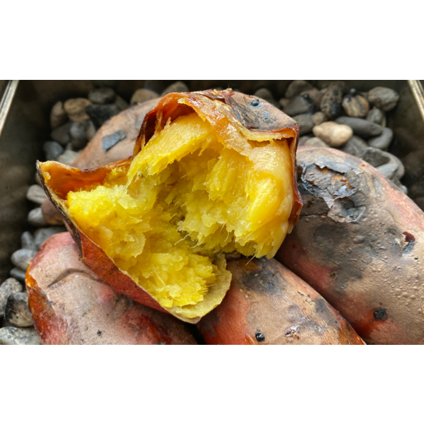 いもジェンヌ（紅はるか）【新潟市西区産】 | 新潟ごっつぉ産直便 | JA