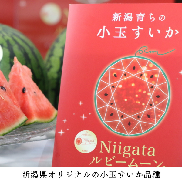 Niigataルビームーン（小玉すいか）【新潟市西区産】 | 新潟