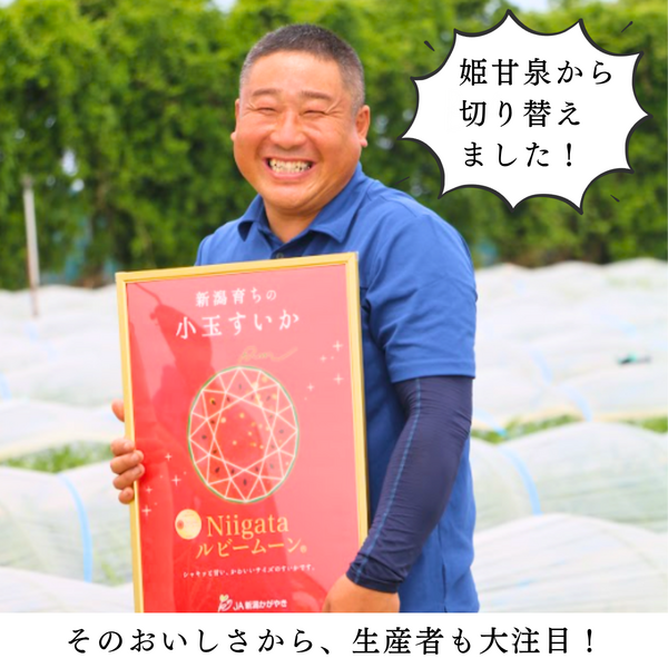 Niigataルビームーン（小玉すいか）【新潟市西区産】 | 新潟