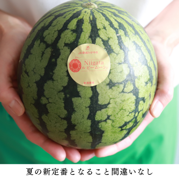 Niigataルビームーン（小玉すいか）【新潟市西区産】 | 新潟