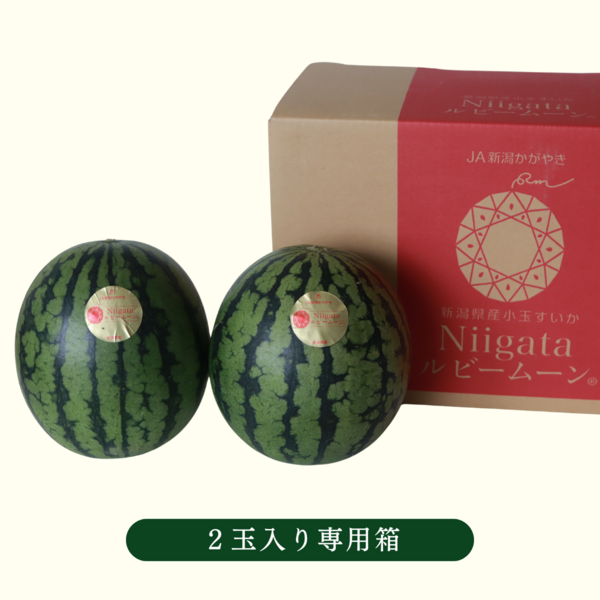Niigataルビームーン（小玉すいか）【新潟市西区産】 | 新潟
