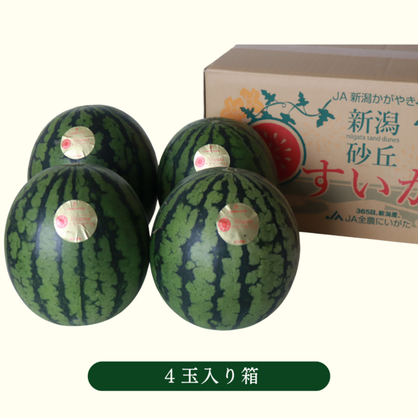 Niigataルビームーン（小玉すいか）【新潟市西区産】 | 新潟