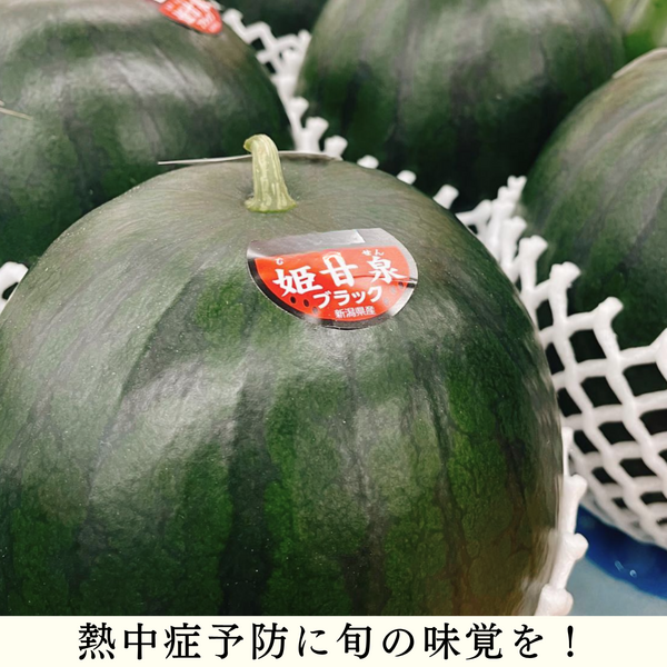 新潟西産】姫甘泉ブラック（黒小玉すいか） | 新潟ごっつぉ産直